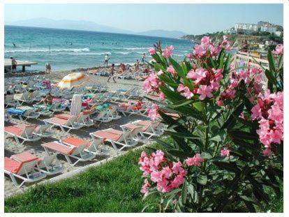 Rosy Hotel Kuşadası Ngoại thất bức ảnh